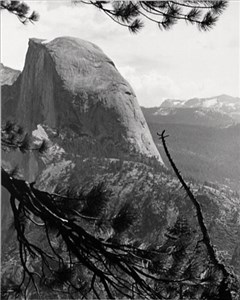 Image description is not available for 1996.080